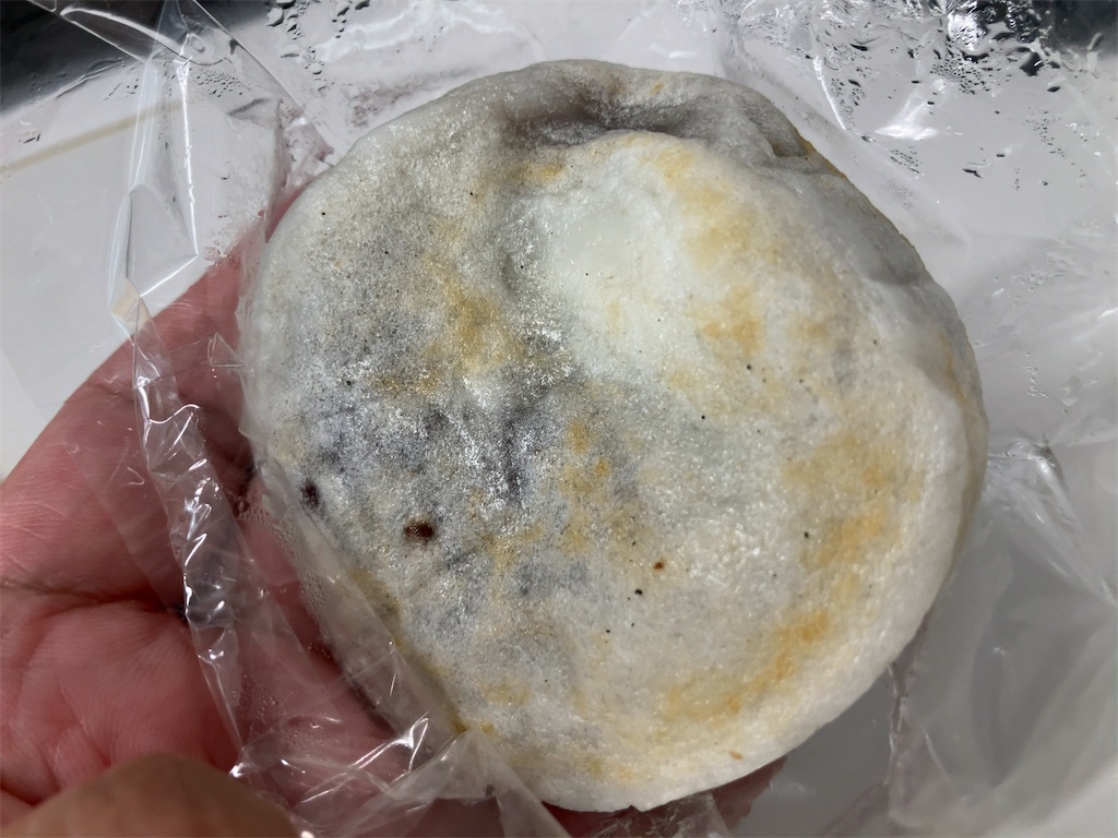 f:id:kuisugimasa:20240521201133j:image