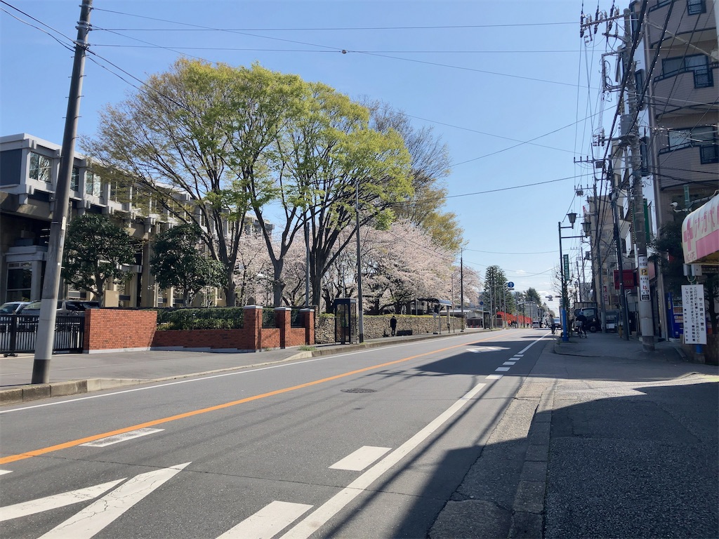 f:id:kuisugimasa:20250405192946j:image