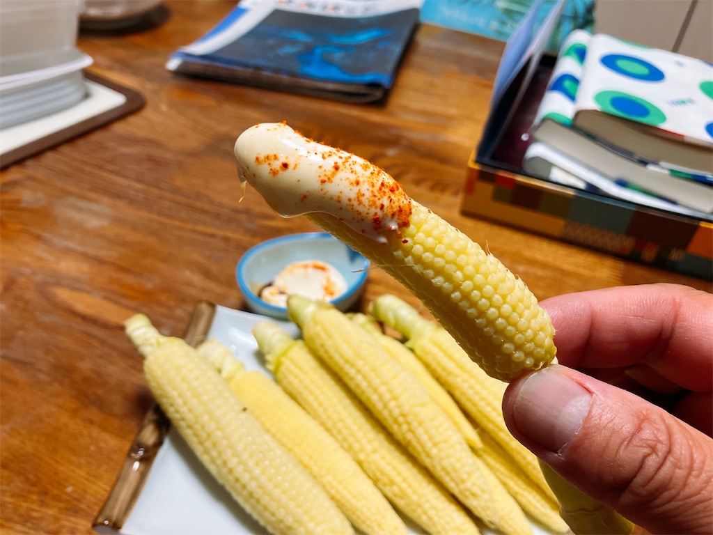 f:id:kuisugimasa:20250506140355j:image