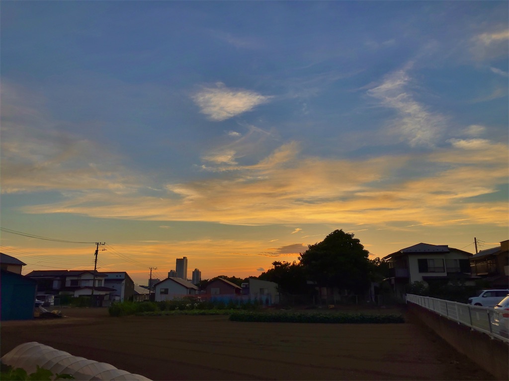 f:id:kuisugimasa:20250729130730j:image
