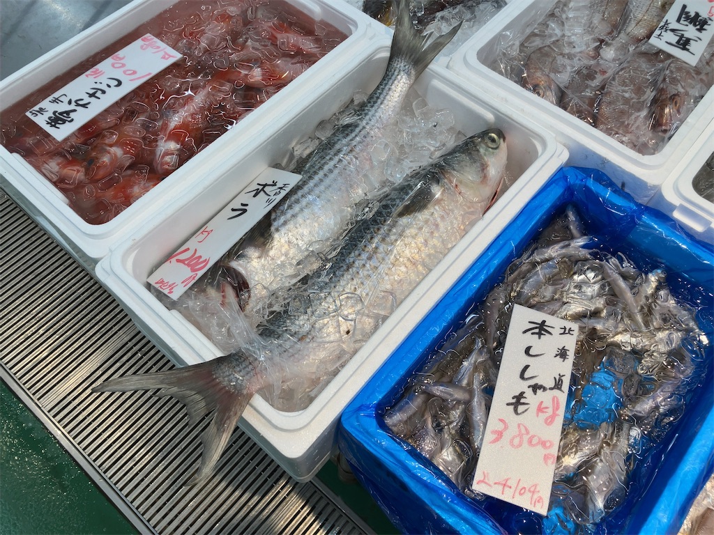 f:id:kuisugimasa:20251026225940j:image