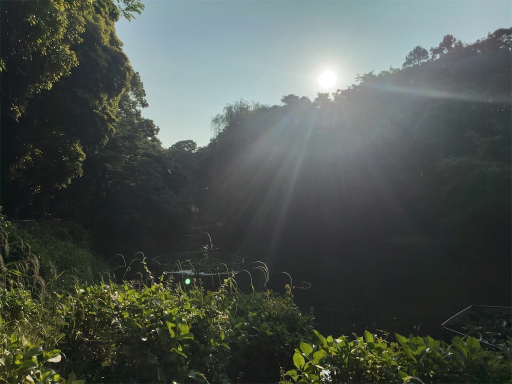 f:id:kuisugimasa:20260516093011j:image