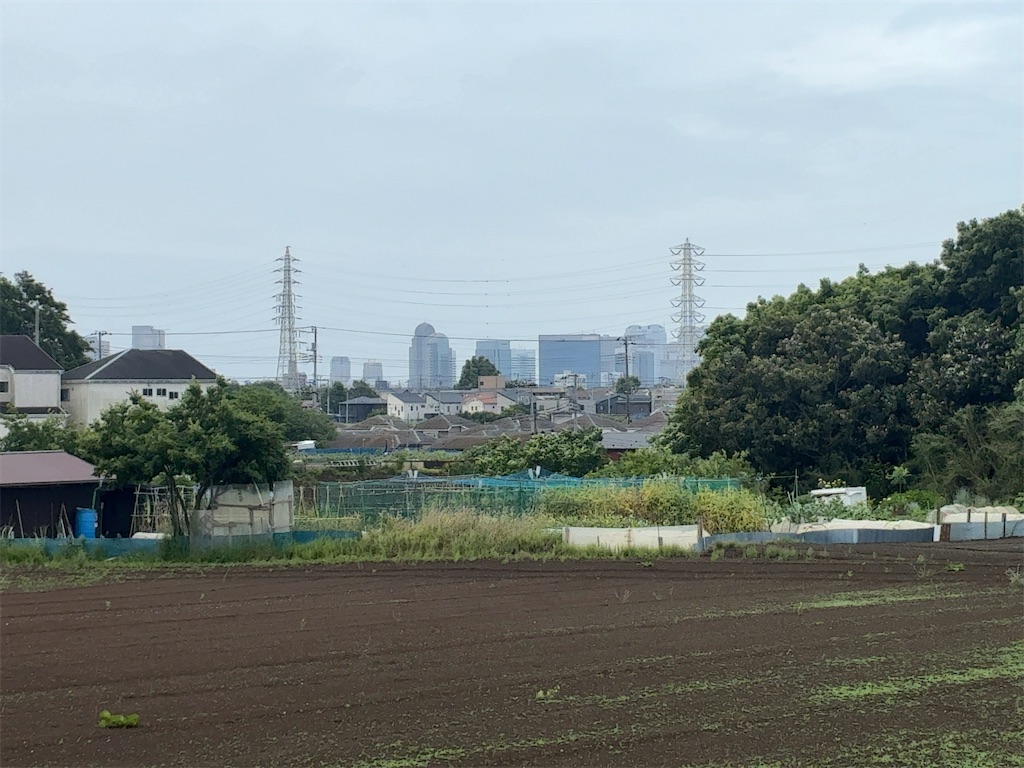 f:id:kuisugimasa:20260524083735j:image
