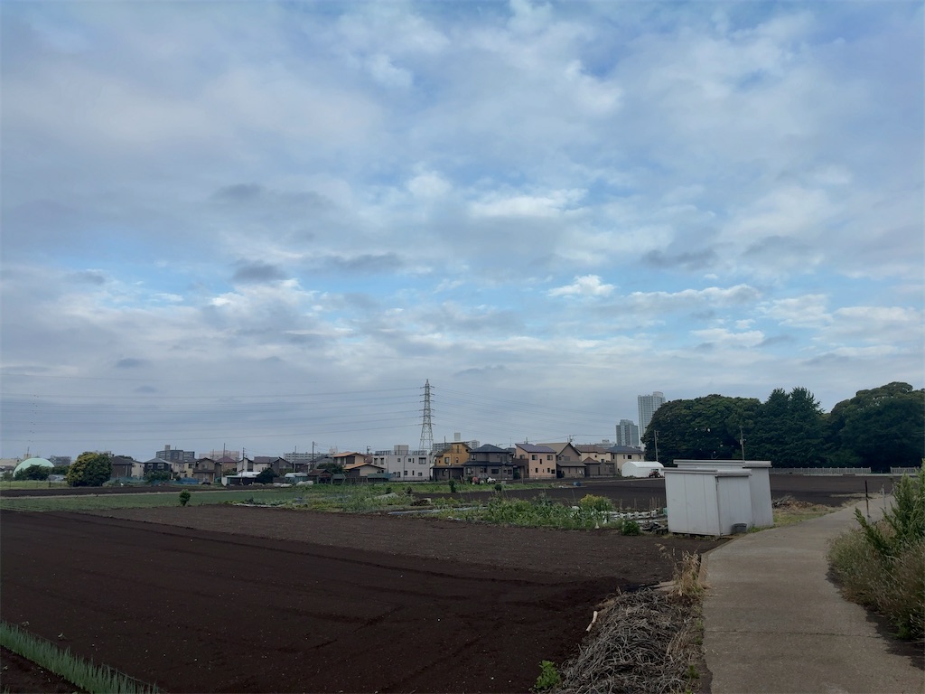 f:id:kuisugimasa:20260524083744j:image