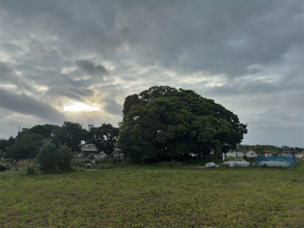 f:id:kuisugimasa:20260524084202j:image f:id:kuisugimasa:20260524084202j:image