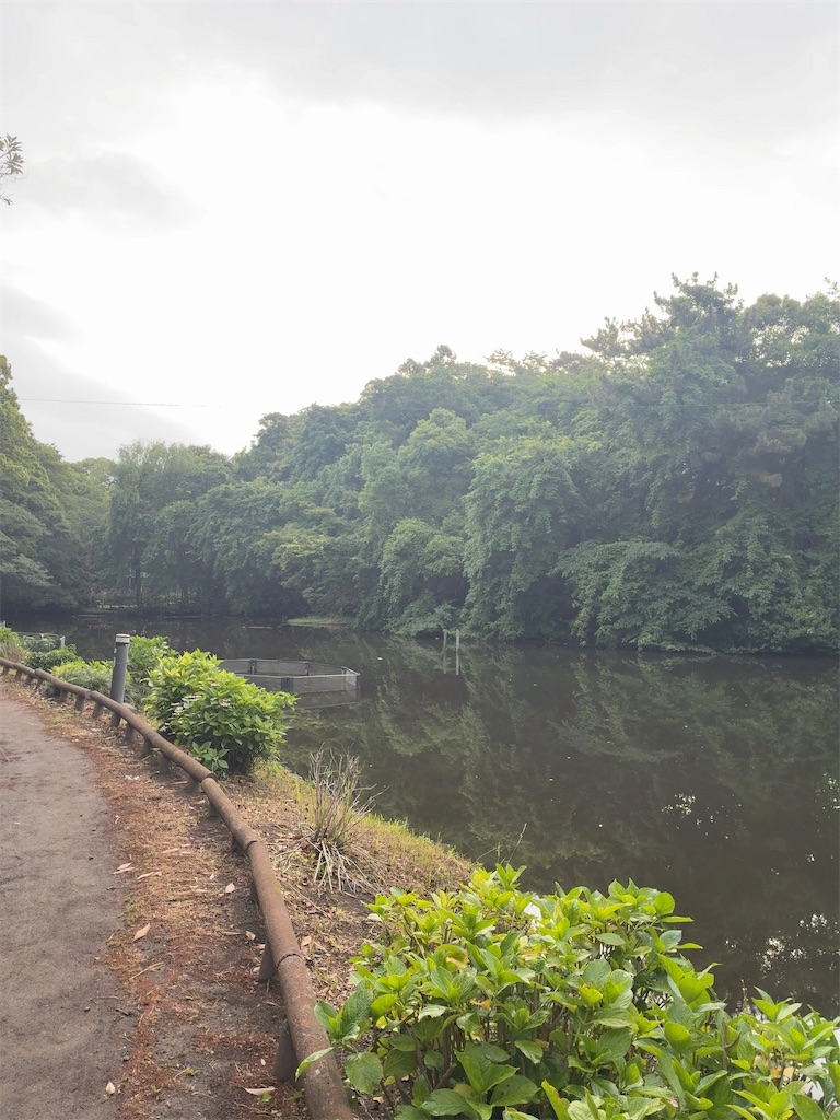 f:id:kuisugimasa:20260524084210j:image f:id:kuisugimasa:20260524084210j:image