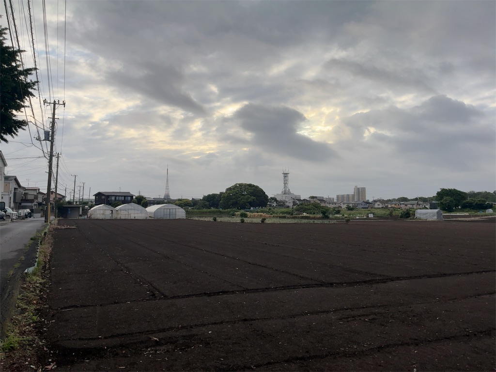 f:id:kuisugimasa:20260524084227j:image f:id:kuisugimasa:20260524084227j:image