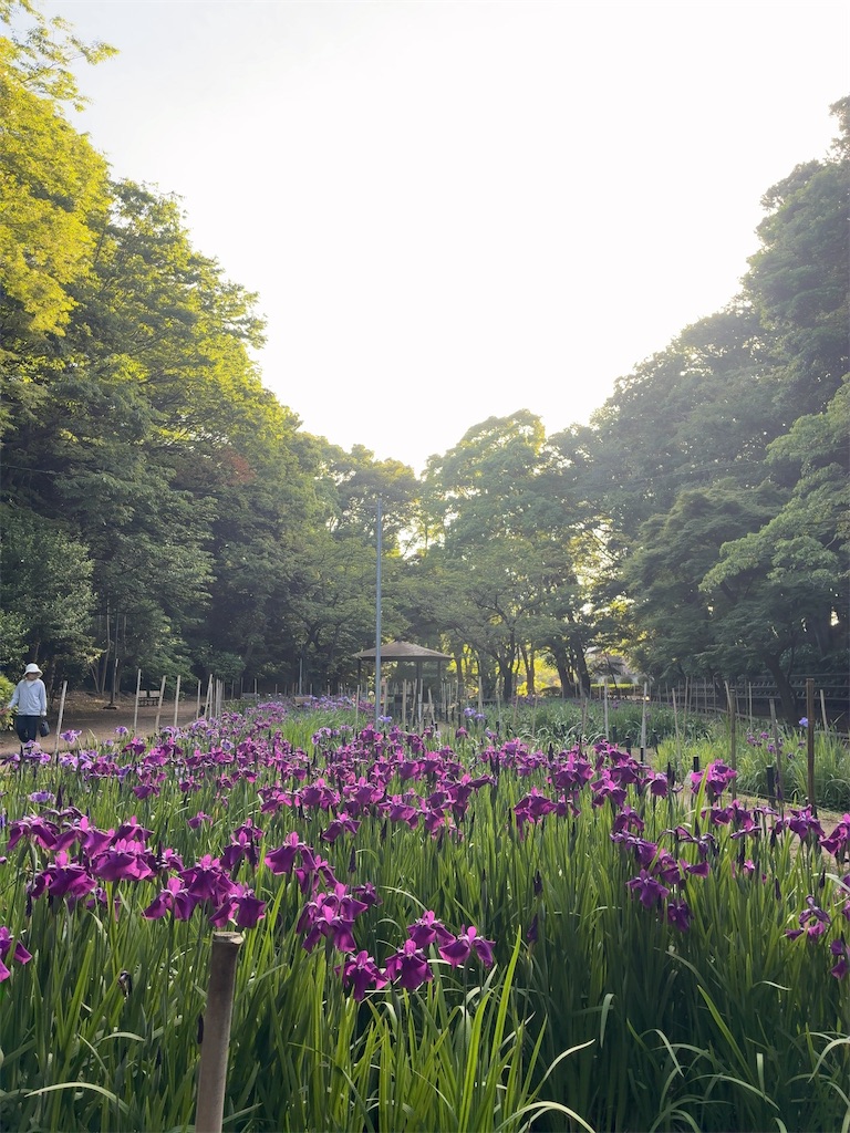 f:id:kuisugimasa:20260525083611j:image