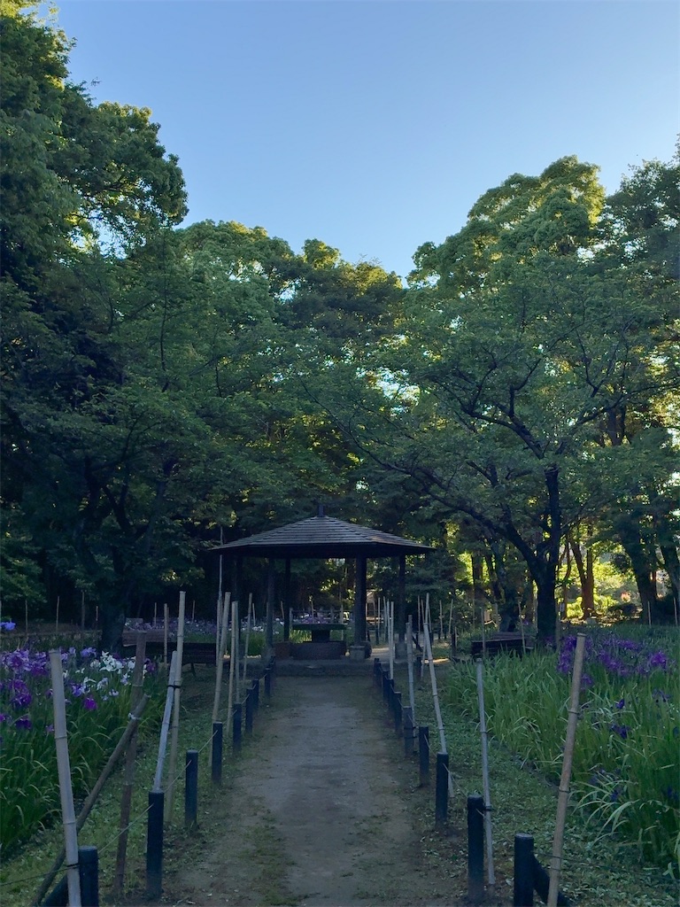 f:id:kuisugimasa:20260528074123j:image f:id:kuisugimasa:20260528074123j:image