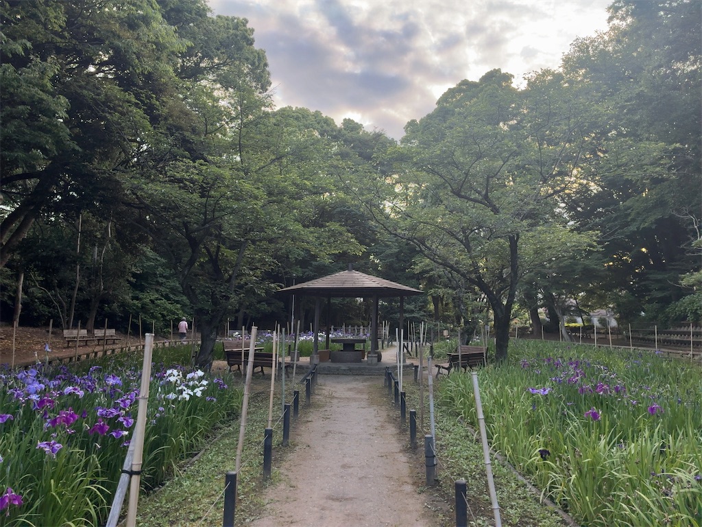 f:id:kuisugimasa:20260531101037j:image