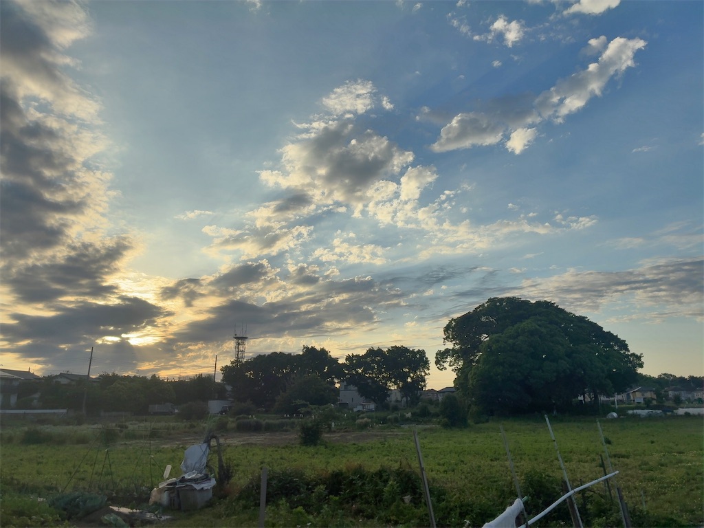 f:id:kuisugimasa:20260531101045j:image