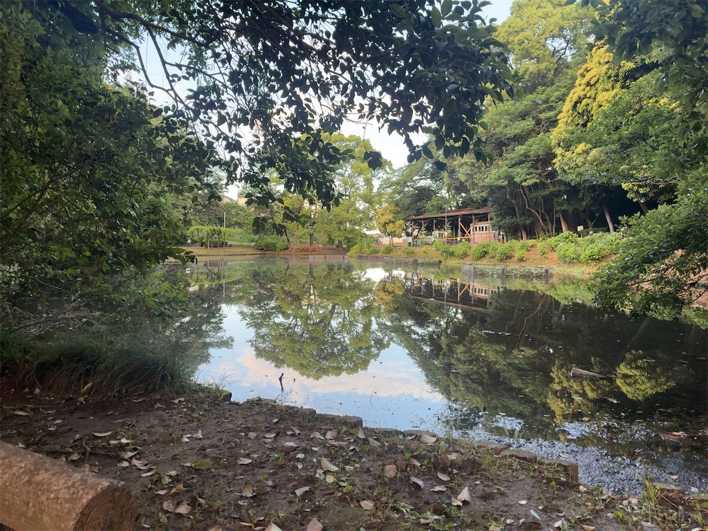 f:id:kuisugimasa:20260531101048j:image