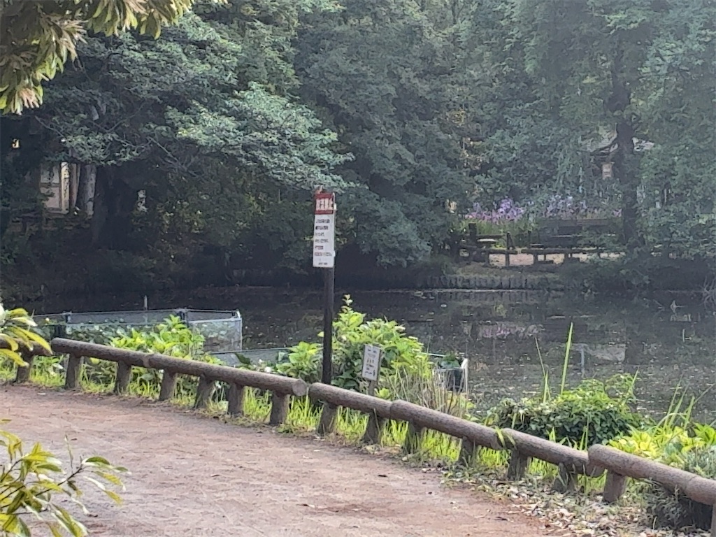 f:id:kuisugimasa:20260531101107j:image