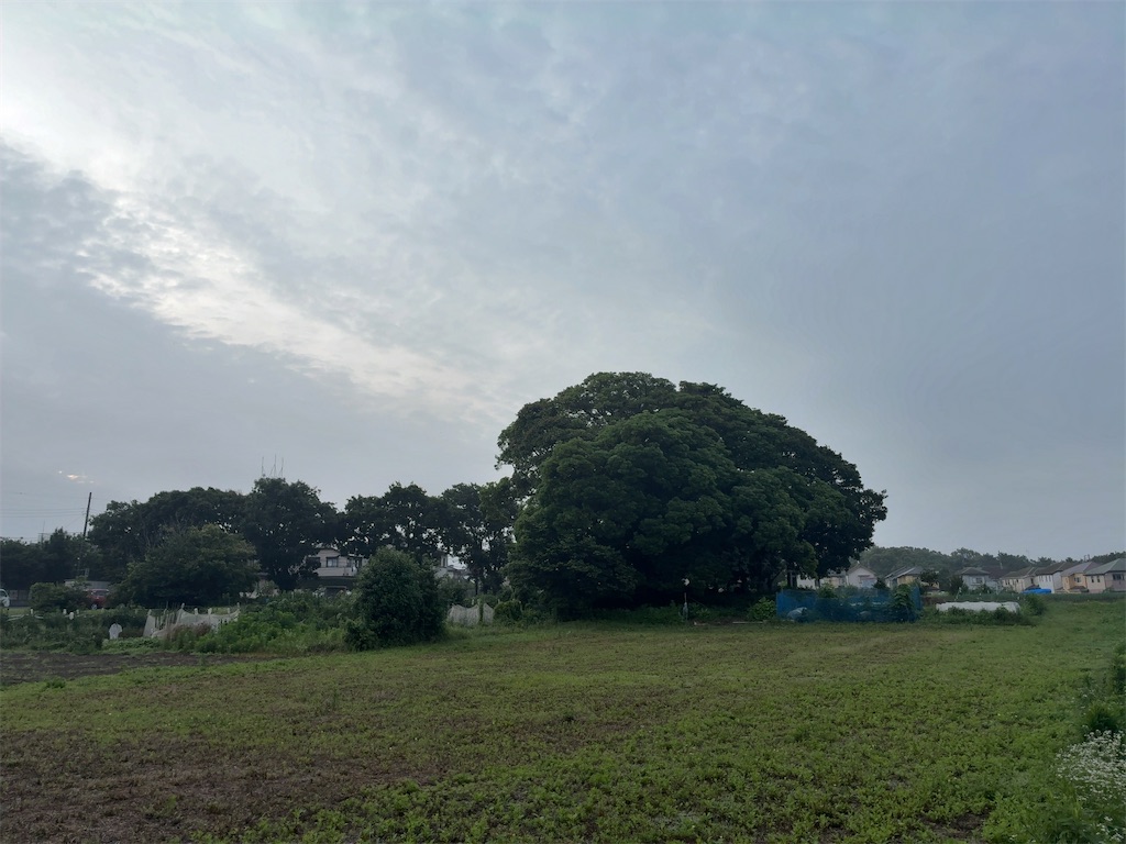 f:id:kuisugimasa:20260701074604j:image