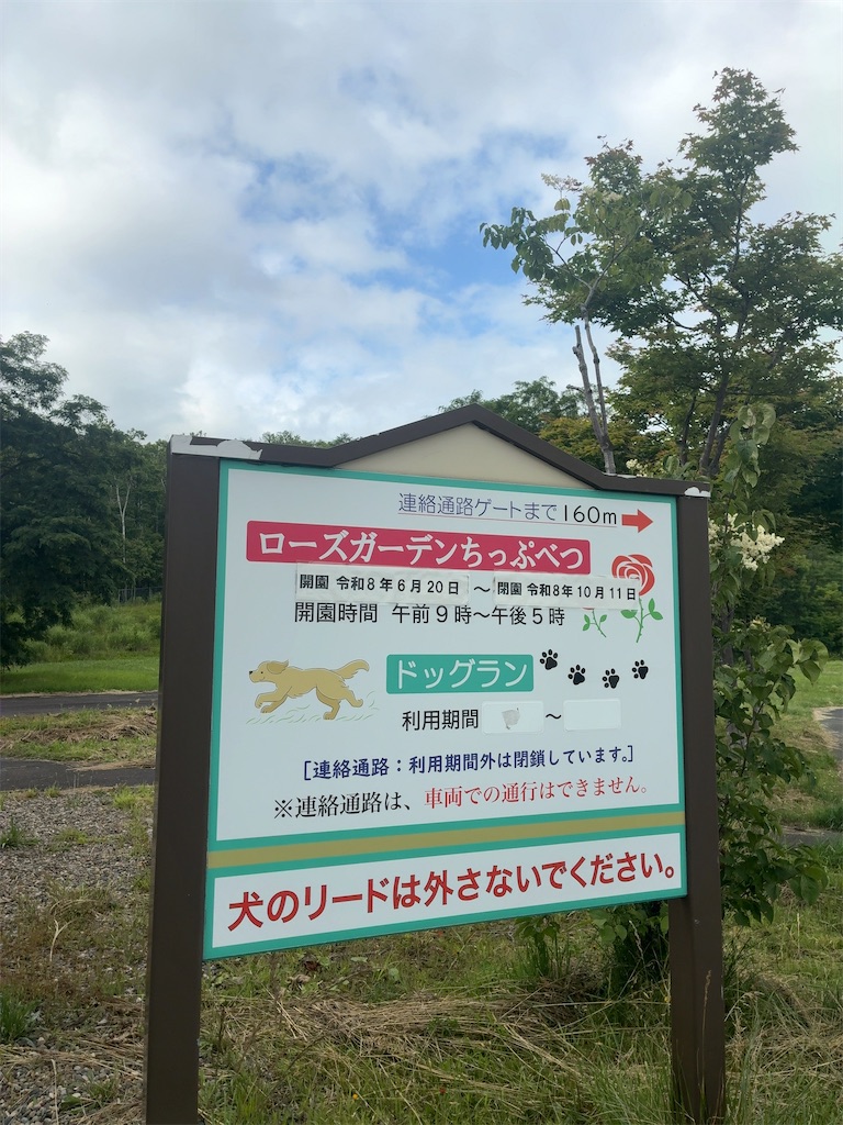 f:id:kuisugimasa:20260702061042j:image