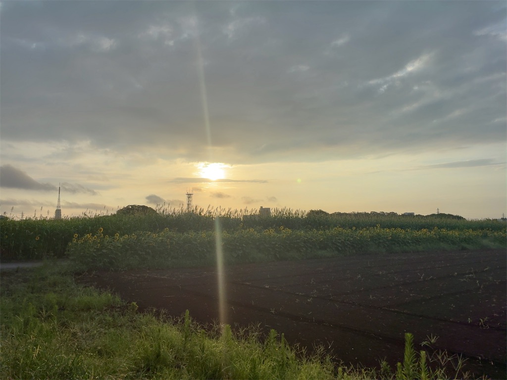 f:id:kuisugimasa:20260728092104j:image