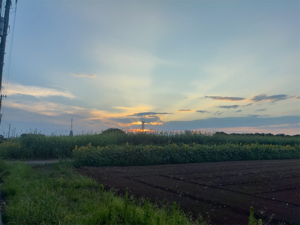 f:id:kuisugimasa:20260730090958j:image