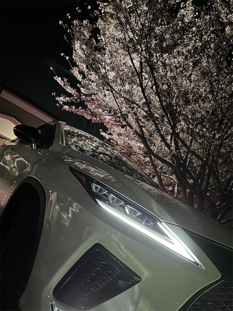 f:id:kujirako_10:20230405004220j:image f:id:kujirako_10:20230405004220j:image