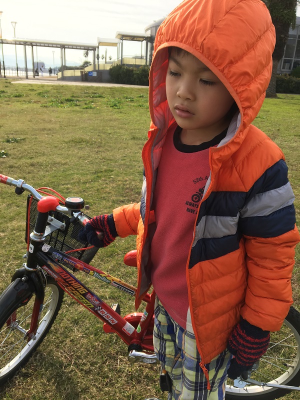 f:id:kujiramm:20161226131940j:plain