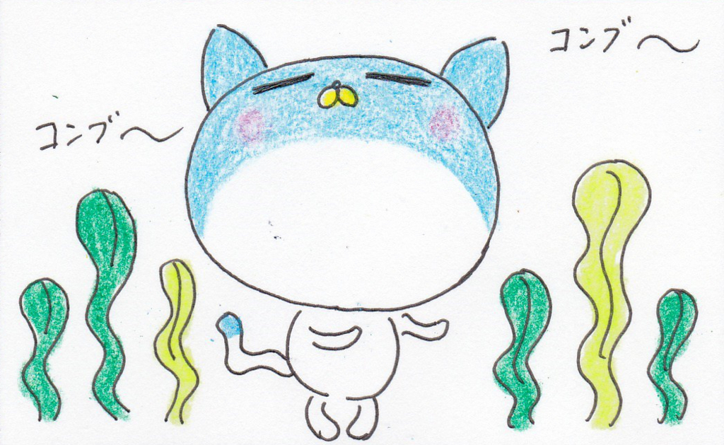 f:id:kujiraputa:20180528144627j:plain