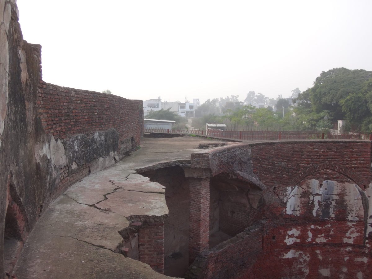 f:id:kujirasei:20191217091112j:plain