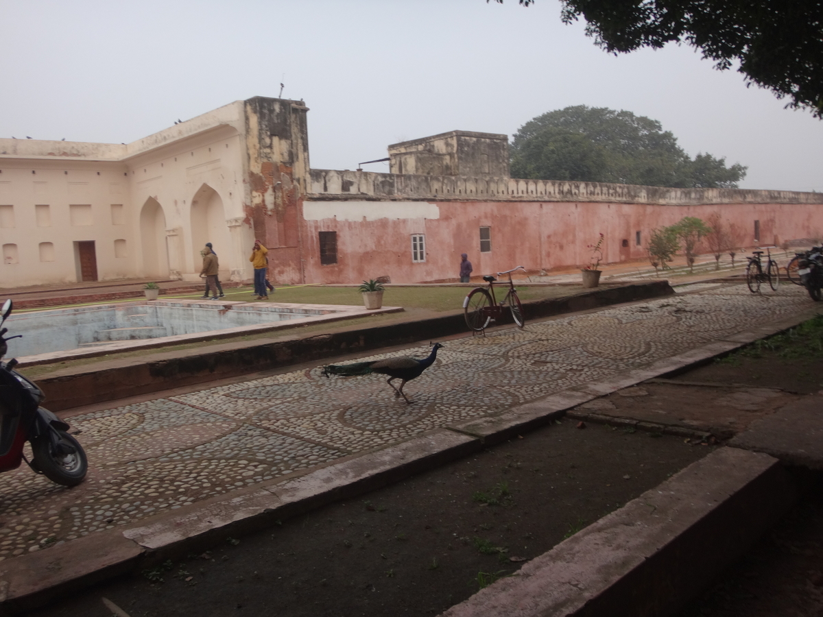 f:id:kujirasei:20191217092638j:plain