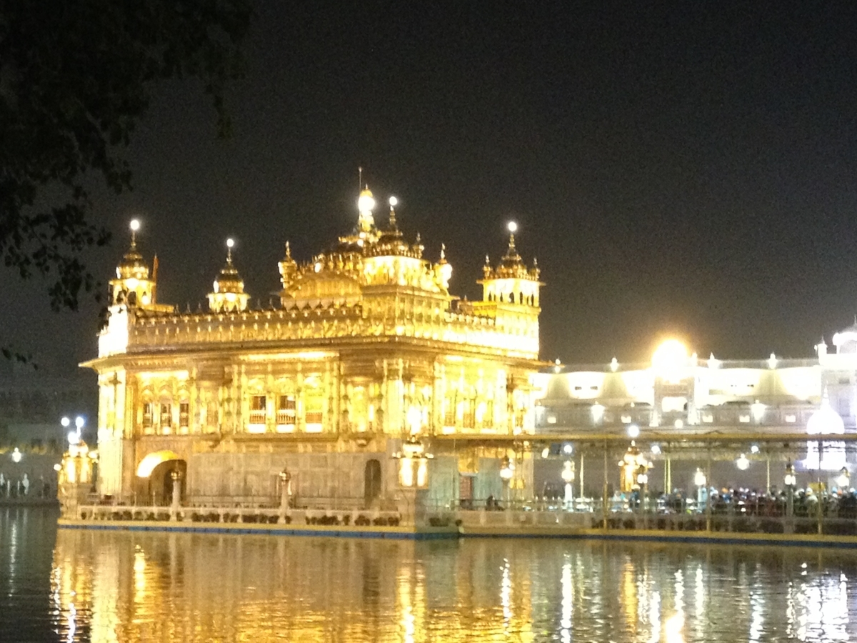 f:id:kujirasei:20200215080530j:plain