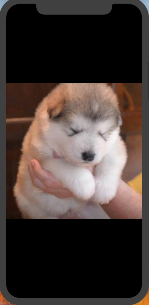 f:id:kujiraxo:20180708221430p:plain f:id:kujiraxo:20180708221430p:plain