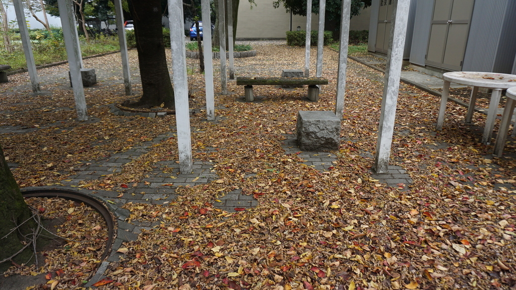 f:id:kujiraxo:20190210001610j:plain f:id:kujiraxo:20190210001610j:plain