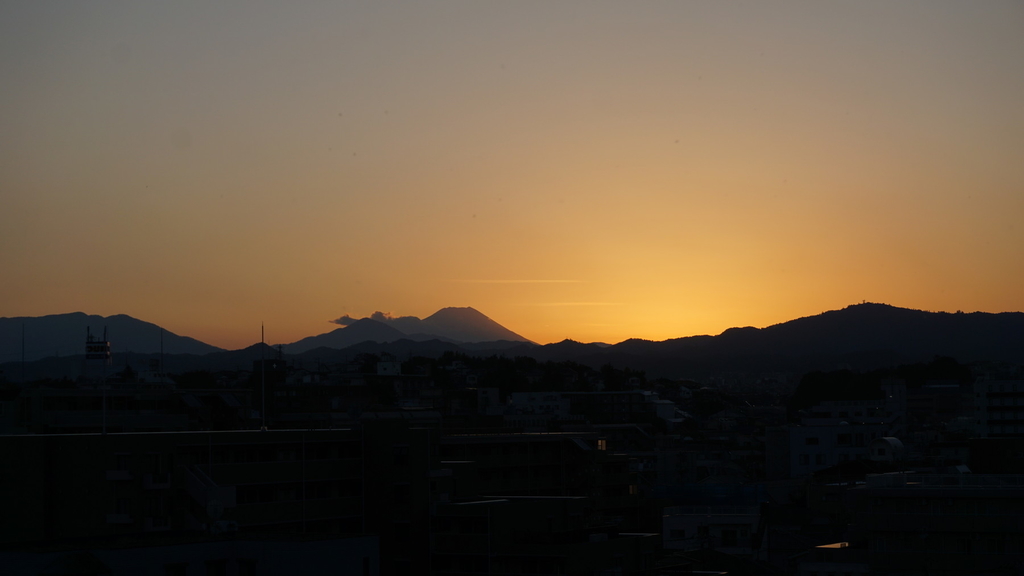 f:id:kujiraxo:20190210001744j:plain f:id:kujiraxo:20190210001744j:plain