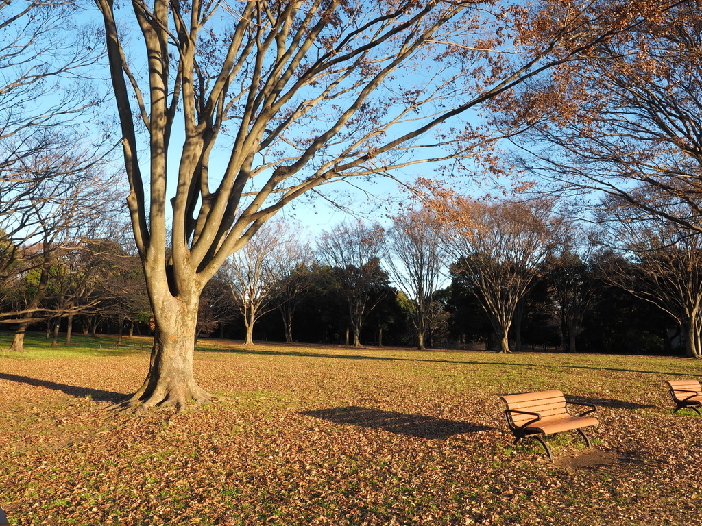 f:id:kujiraxo:20190210002117j:plain f:id:kujiraxo:20190210002117j:plain