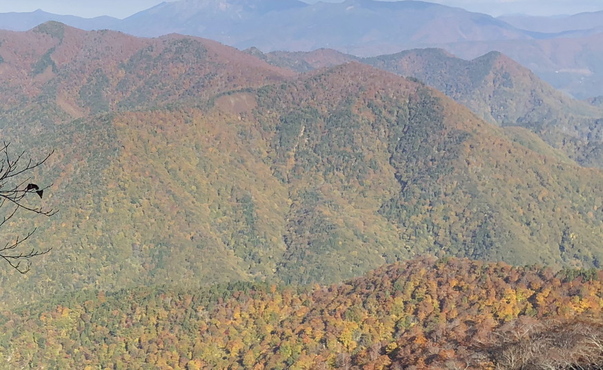 f:id:kujiraxo:20190210002728j:plain f:id:kujiraxo:20190210002728j:plain