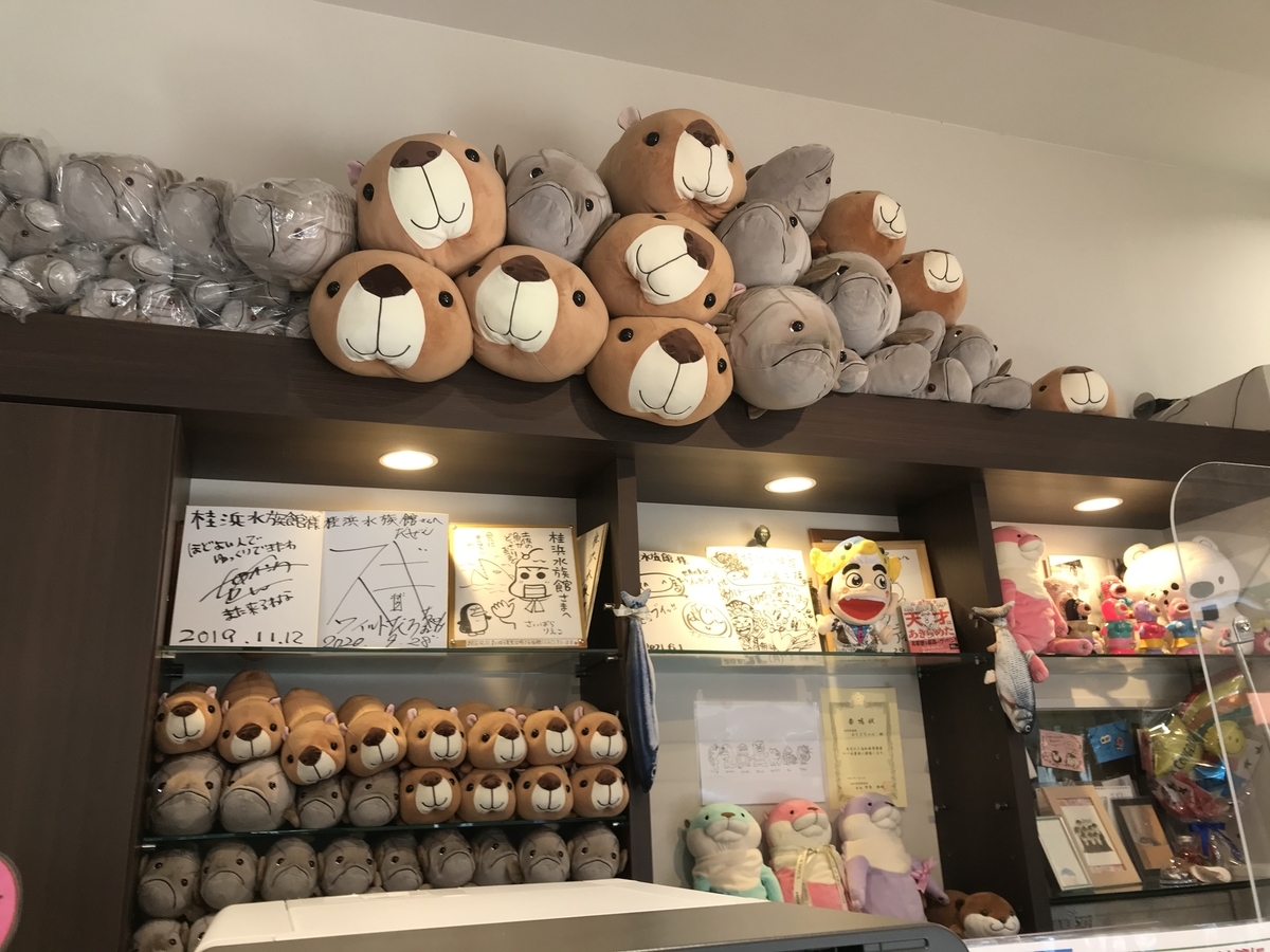 ぬいぐるみ　くじ　ハッピーマリン　きんめだい　　水族館　cute ハッピーマリン ぬいぐるみくじ 魚類系 まとめ 〜マグロ、カツオ