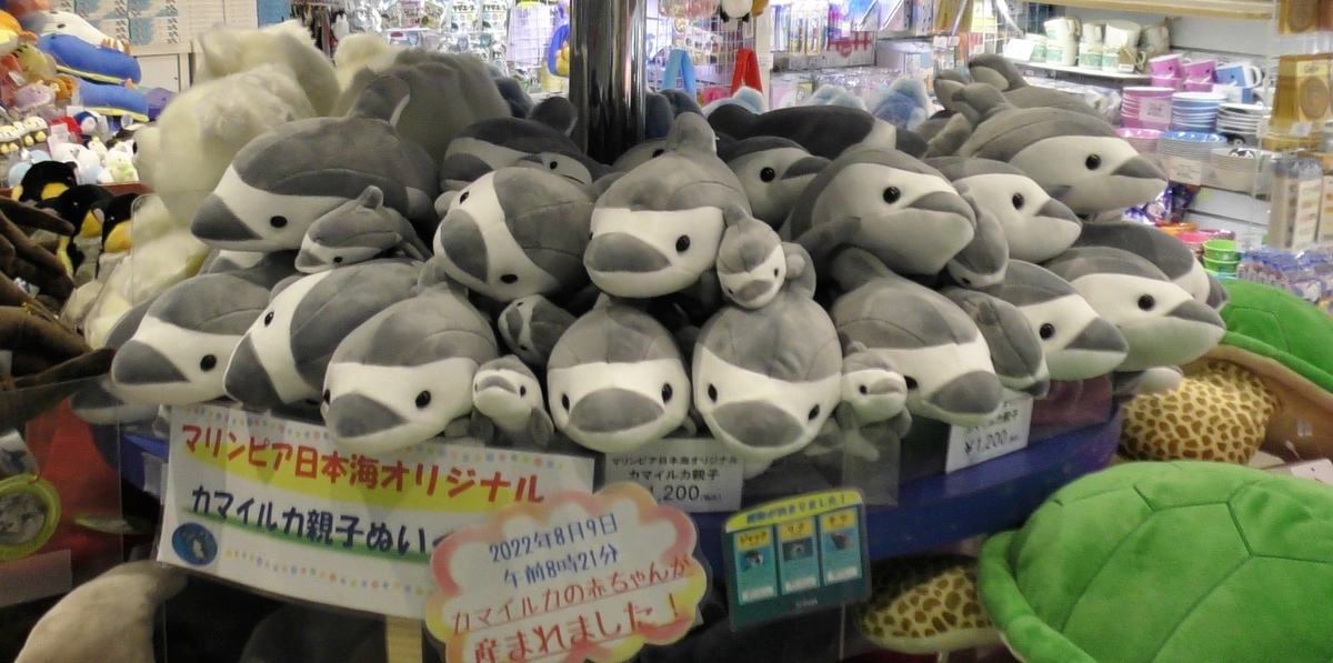 2022年度 マリンピア日本海 限定イルカぬいぐるみ3種 - ぬいぐるみくじ