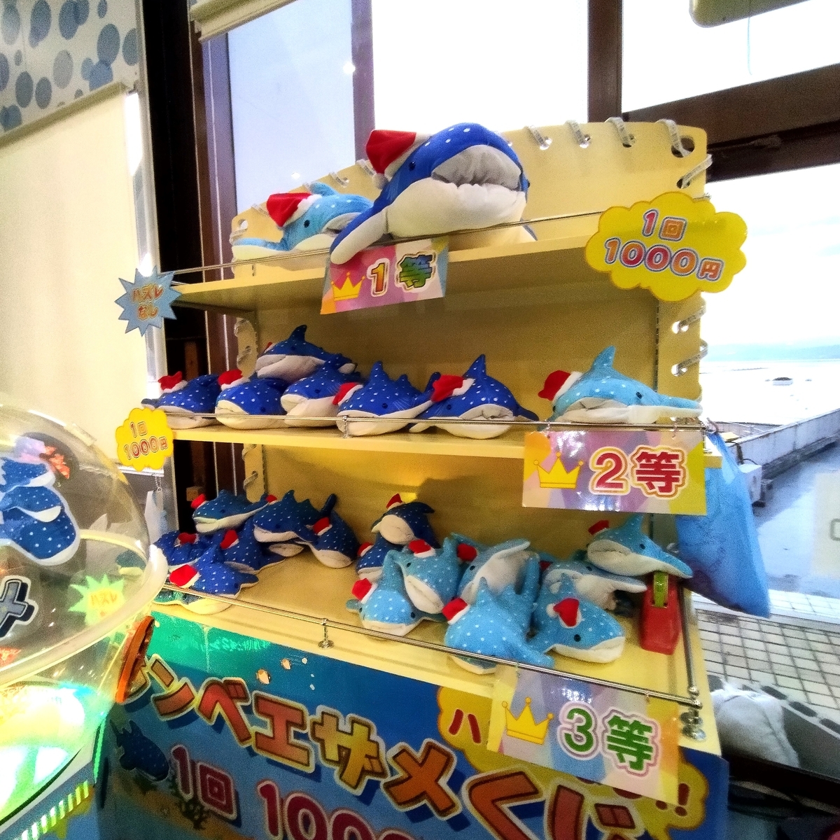 ㈱あるまど ジンベエザメくじ＆カワウソくじ @伊豆・三津シー