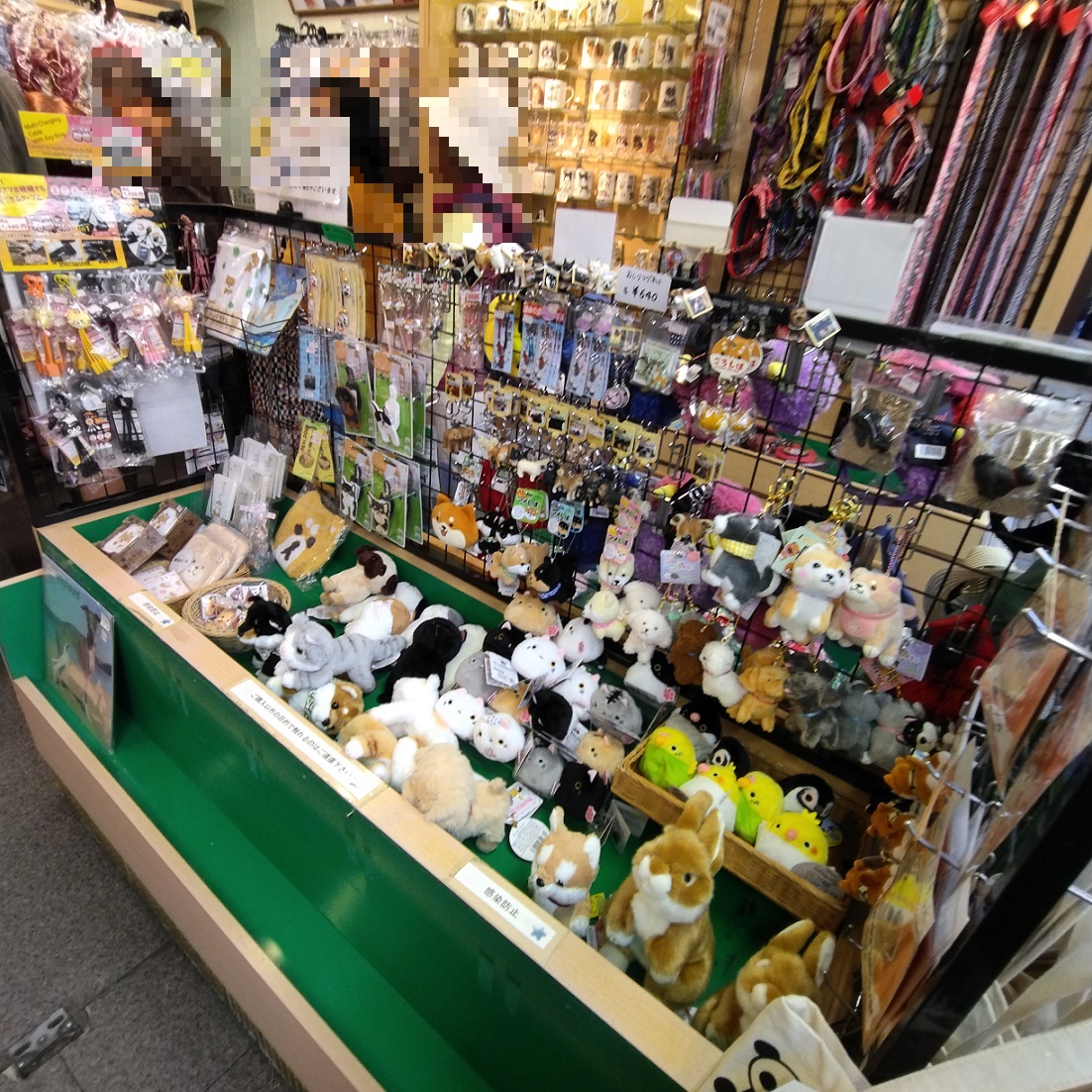 安立屋限定 ぬいぐるみくじ パグ犬&トイプードル - ぬいぐるみくじ発見紀