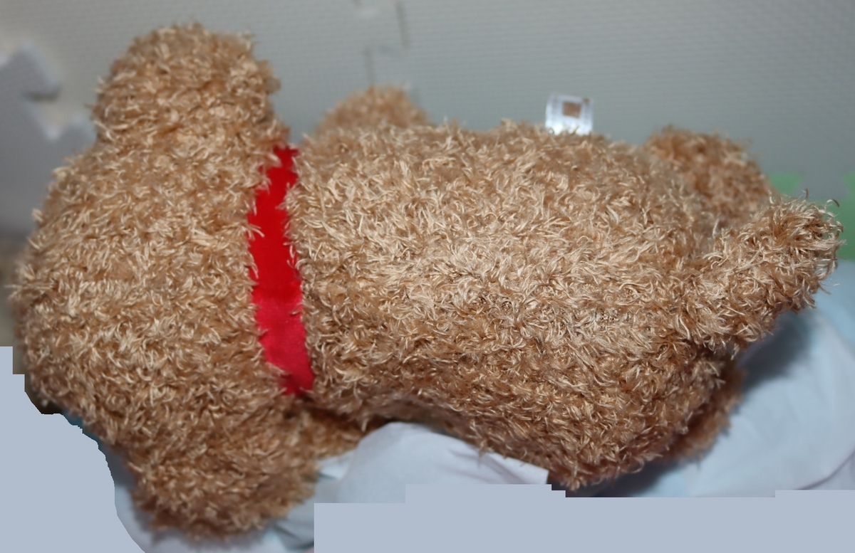 安立屋限定 ぬいぐるみくじ パグ犬&トイプードル - ぬいぐるみくじ発見紀