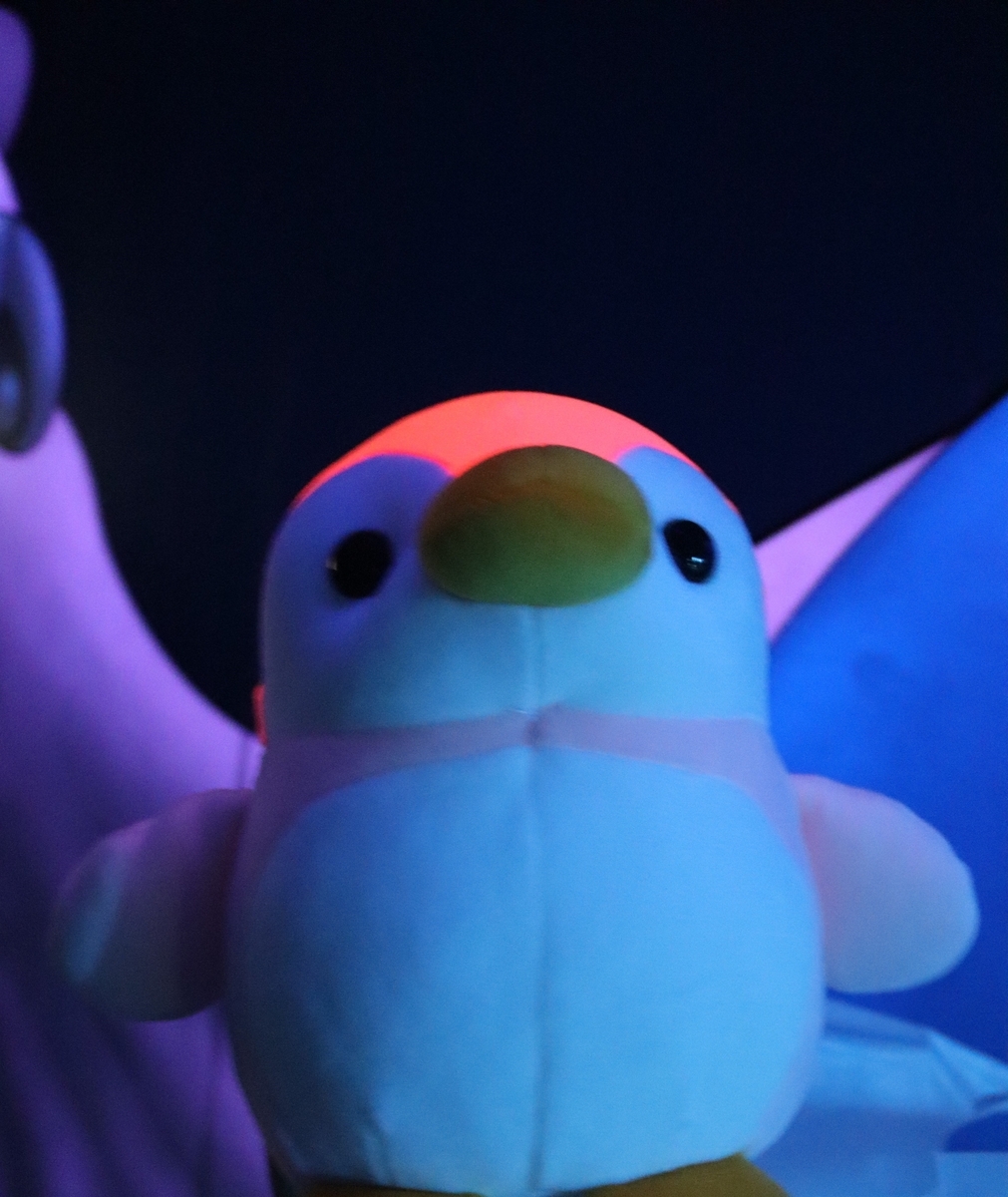 かにくじ ハッピーマリン 特賞 特等 特大ぬいぐるみ ぬいぐるみくじ