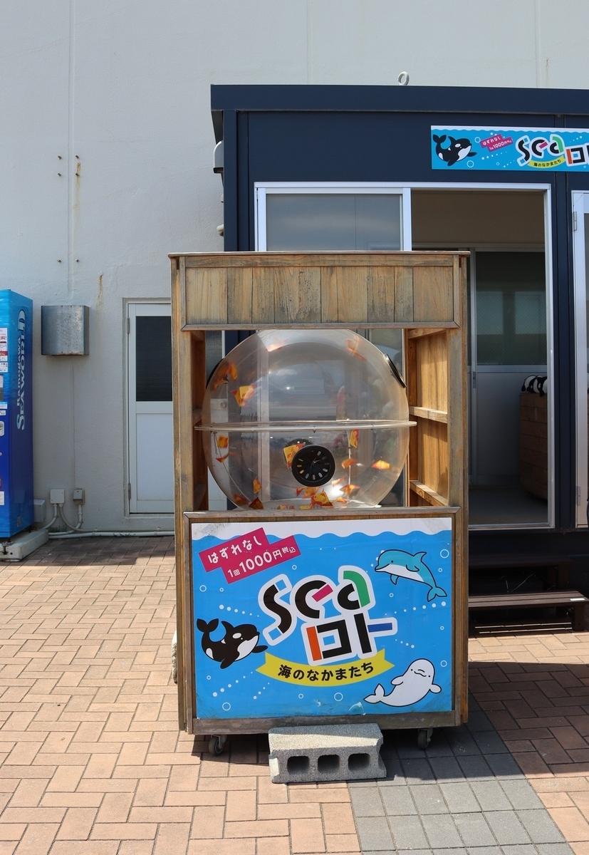 【シャチルーナ✨️】 7月13日まで シャチ 1等賞　約90cm程 ♡♡ 鴨川シーワールド シャチくじ&Seaロト&バルーンくじ