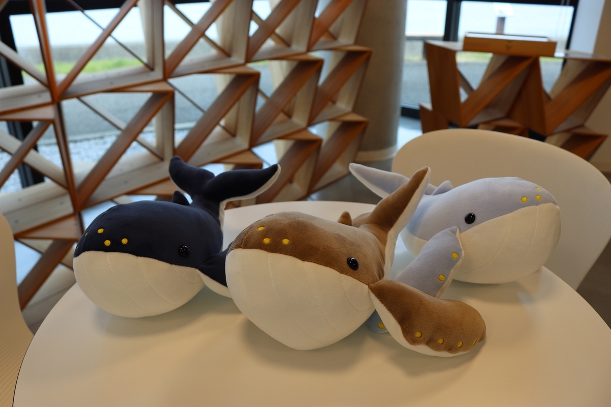道の駅キラメッセ室戸 鯨館 クジラくじ - ぬいぐるみくじ発見紀