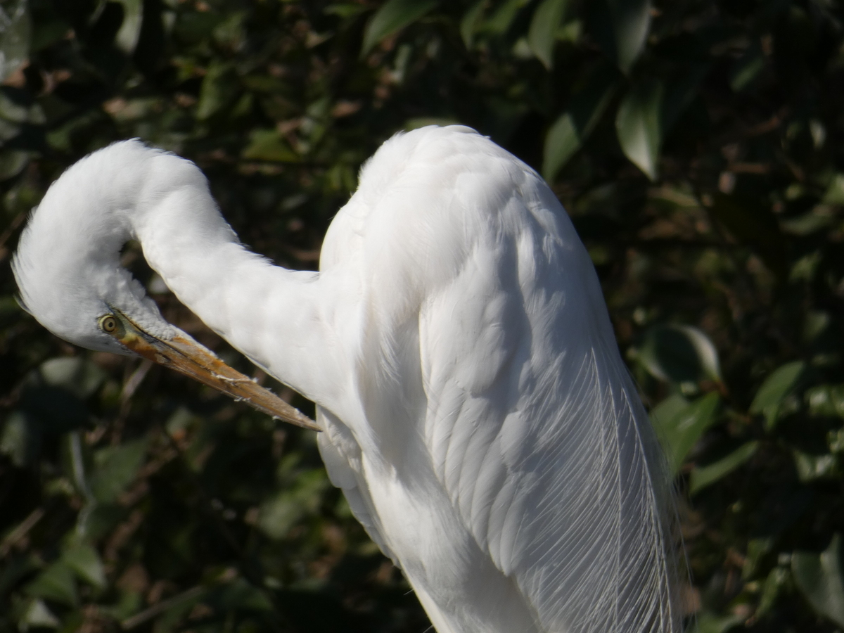 f:id:kukankikai:20190327142149j:plain f:id:kukankikai:20190327142149j:plain