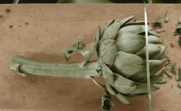 f:id:kukekko:20180711232905p:plain