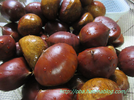 f:id:kukiha-na:20160919223302p:plain f:id:kukiha-na:20160919223302p:plain