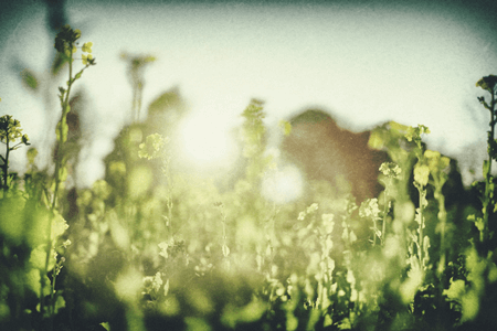 f:id:kukiha-na:20170322223924p:plain f:id:kukiha-na:20170322223924p:plain