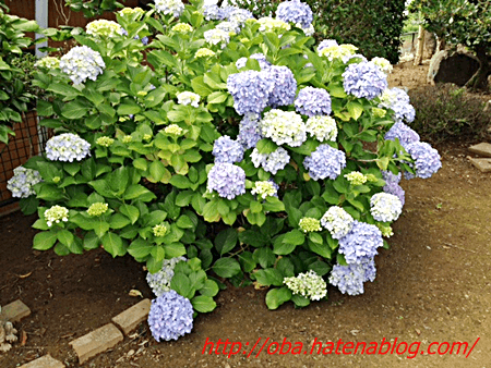 f:id:kukiha-na:20180622214452p:plain