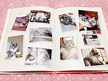 f:id:kukiha-na:20180816220645p:plain