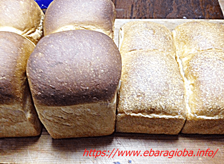 f:id:kukiha-na:20190506223116p:plain f:id:kukiha-na:20190506223116p:plain