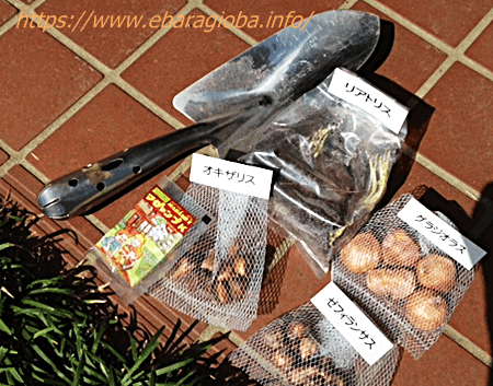 f:id:kukiha-na:20190511070251p:plain