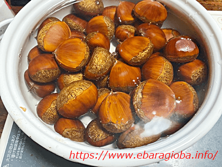 f:id:kukiha-na:20200918091220p:plain f:id:kukiha-na:20200918091220p:plain