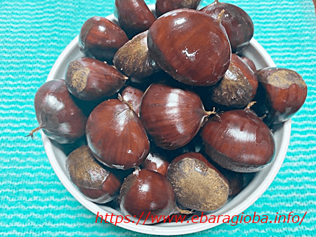 f:id:kukiha-na:20200918091238p:plain f:id:kukiha-na:20200918091238p:plain